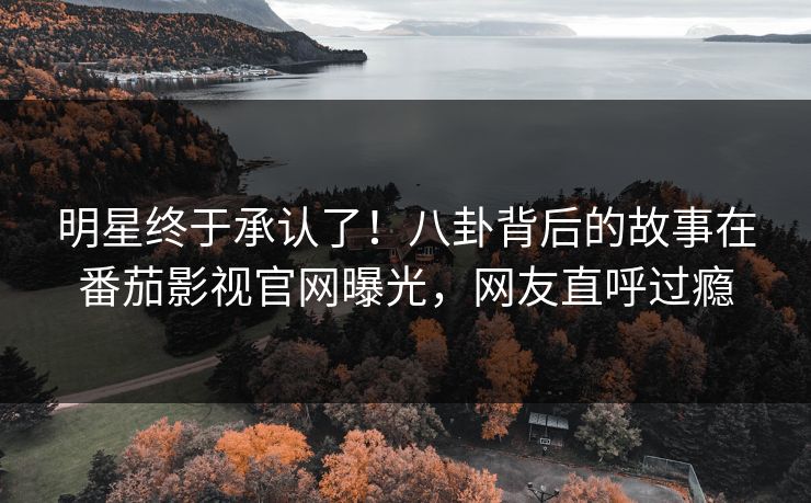 明星终于承认了！八卦背后的故事在番茄影视官网曝光，网友直呼过瘾