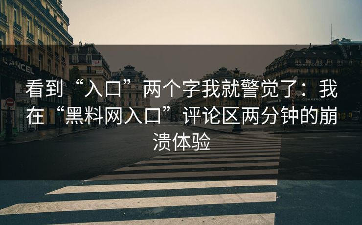 看到“入口”两个字我就警觉了：我在“黑料网入口”评论区两分钟的崩溃体验